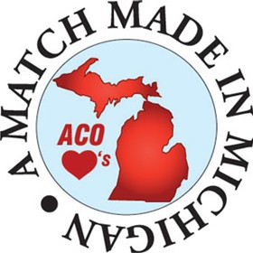 Misc. Projects: ACO Hardware Logo Designs